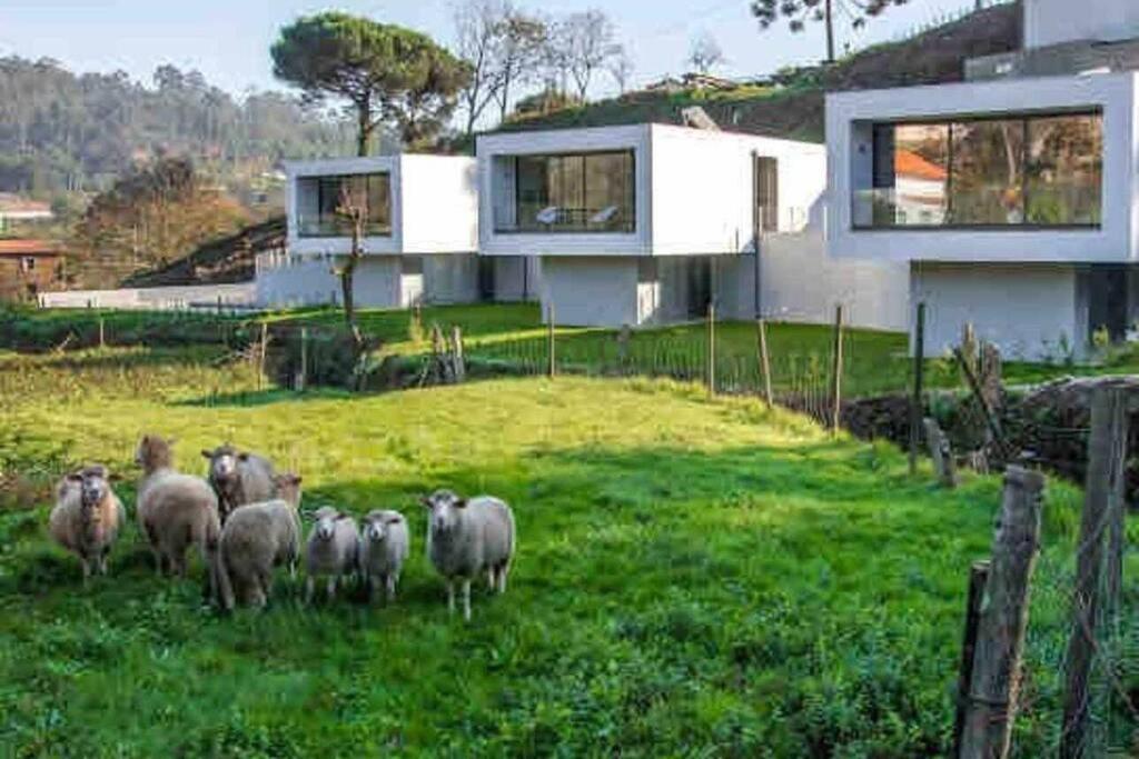 Viana Do Castelo - Amonde Village - Casa L - Disfrute Da Natureza Exterior photo